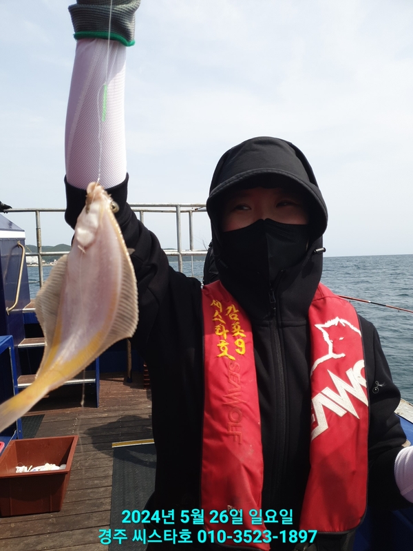 경주선상낚시씨스타호의 조황일지 이미지 - 6