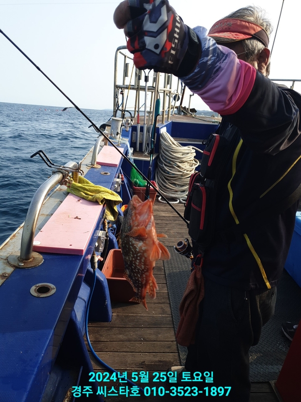 경주선상낚시씨스타호의 조황일지 이미지 - 11