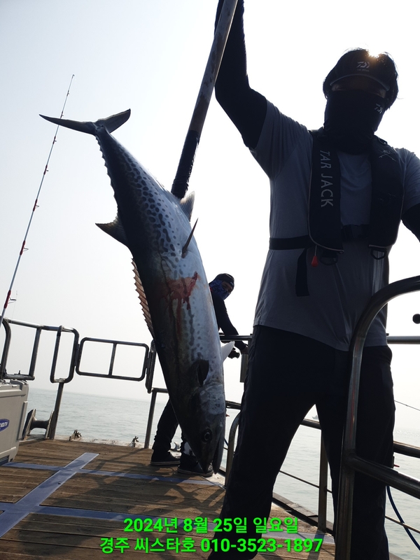 경주선상낚시씨스타호의 조황일지 이미지 - 4