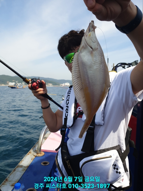 경주선상낚시씨스타호의 조황일지 이미지 - 5