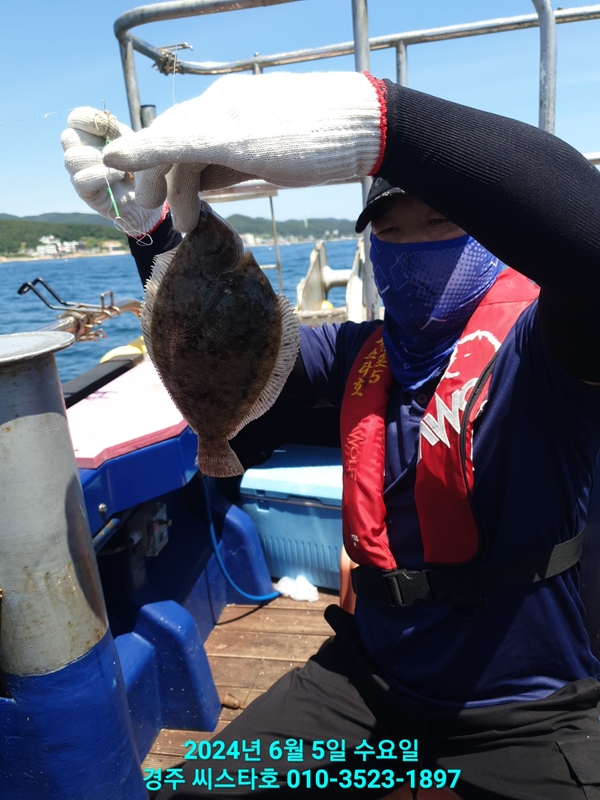 경주선상낚시씨스타호의 조황일지 이미지 - 15