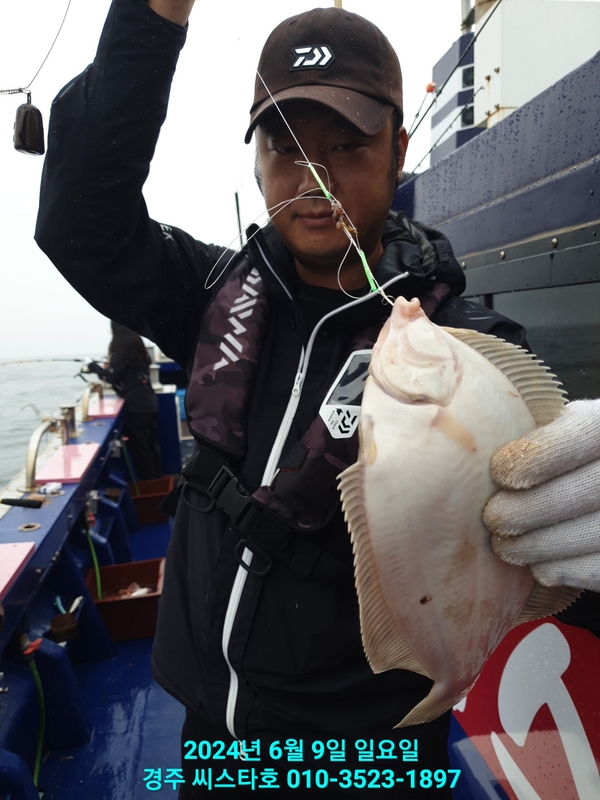 경주선상낚시씨스타호의 조황일지 이미지 - 12