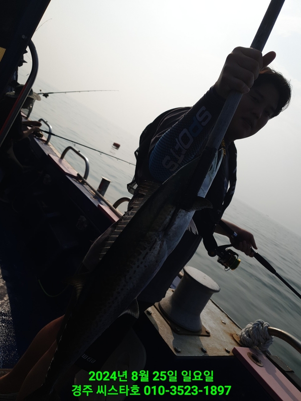 경주선상낚시씨스타호의 조황일지 이미지 - 9