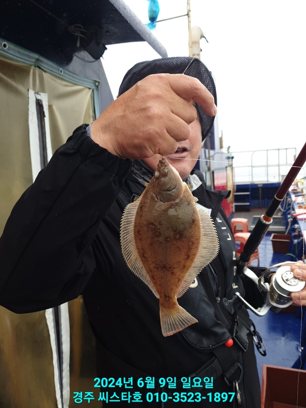 경주선상낚시씨스타호의 조황일지 이미지 - 10