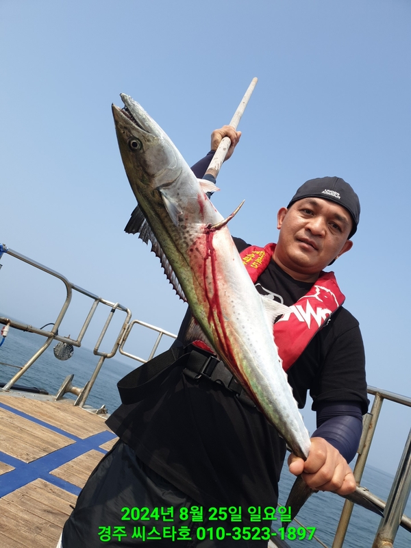 경주선상낚시씨스타호의 조황일지 이미지 - 1