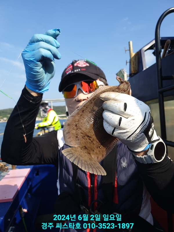 경주선상낚시씨스타호의 조황일지 이미지 - 6