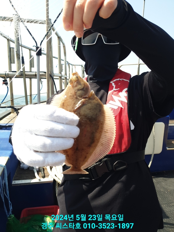 경주선상낚시씨스타호의 조황일지 이미지 - 1