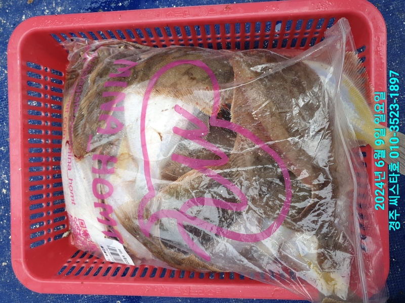 경주선상낚시씨스타호의 조황일지 이미지 - 18