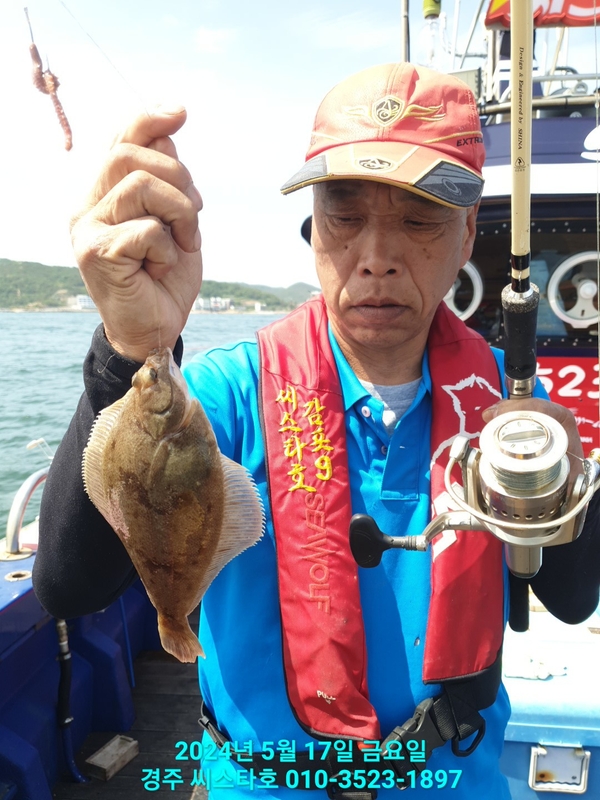 경주선상낚시씨스타호의 조황일지 이미지 - 4