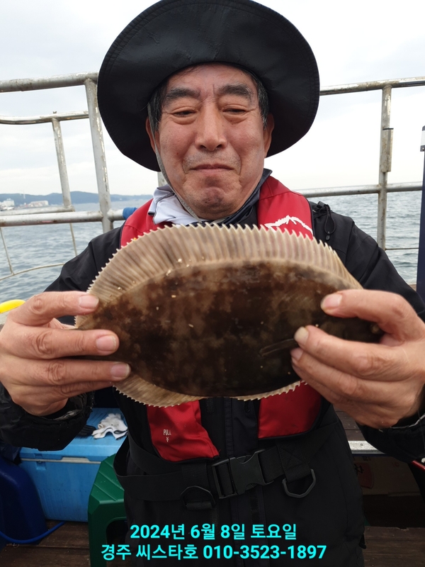 경주선상낚시씨스타호의 조황일지 이미지 - 13