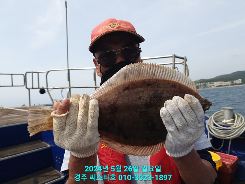 경주선상낚시씨스타호의 조황일지 이미지 - 3