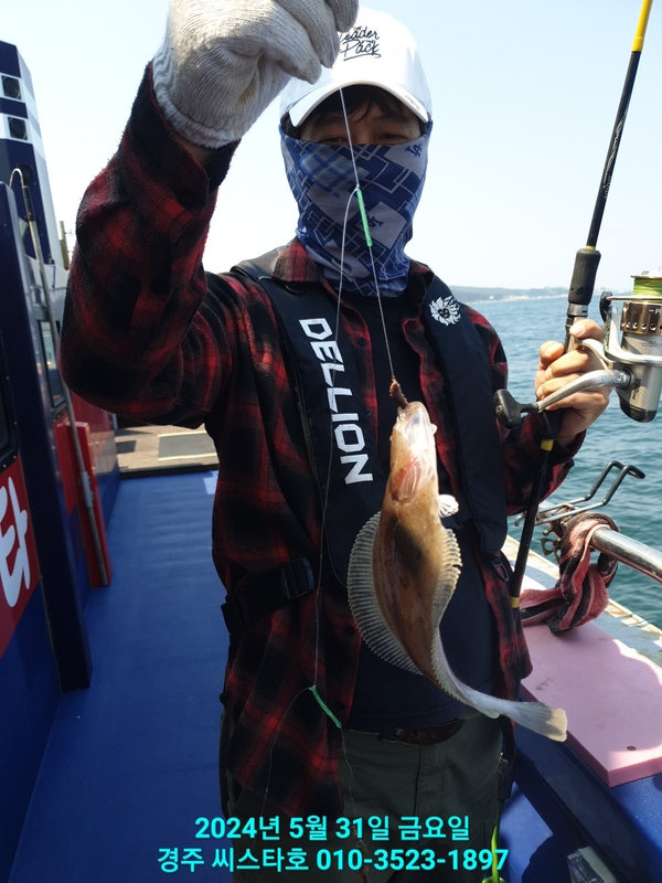 경주선상낚시씨스타호의 조황일지 이미지 - 2