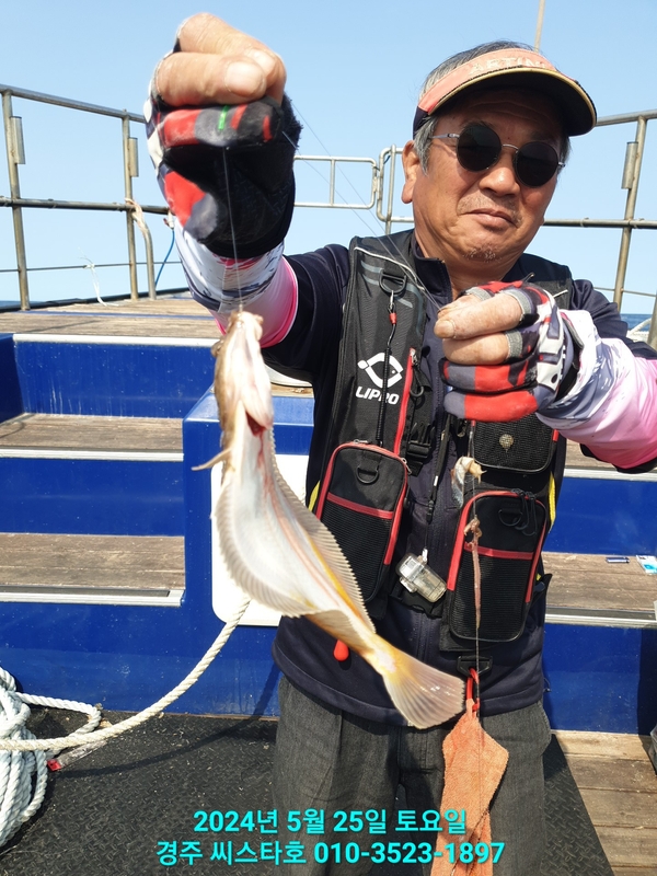 경주선상낚시씨스타호의 조황일지 이미지 - 8