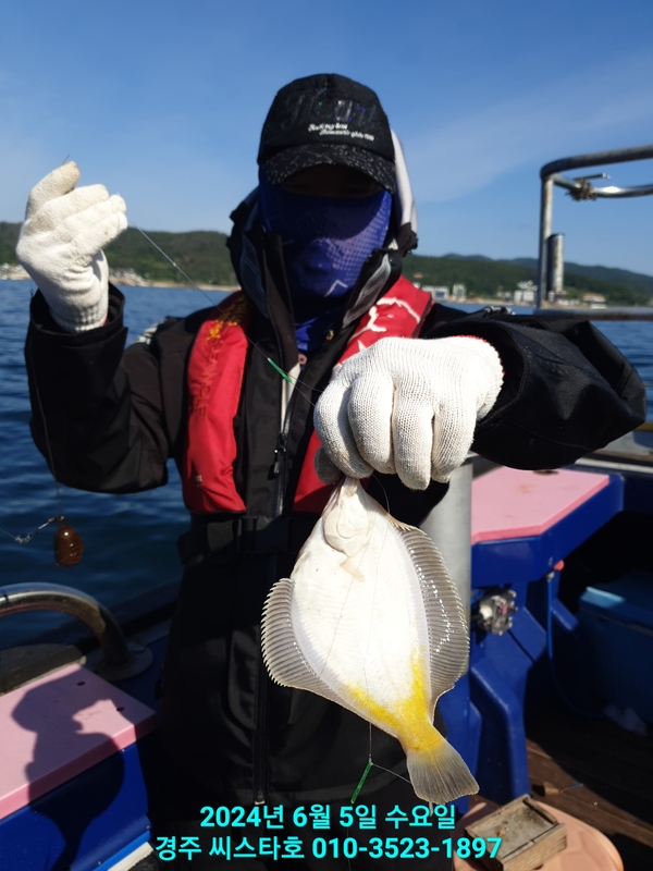 경주선상낚시씨스타호의 조황일지 이미지 - 9