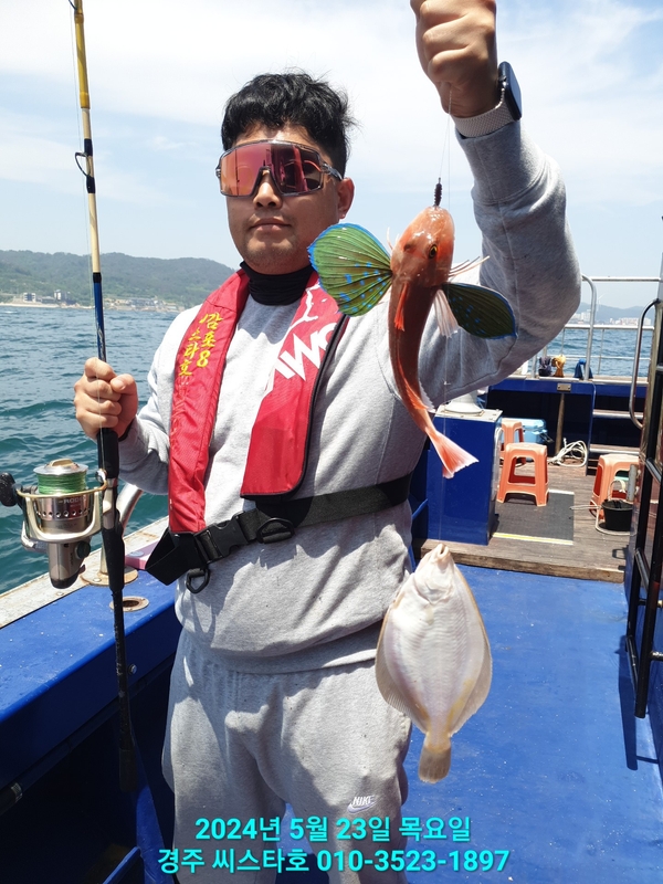 경주선상낚시씨스타호의 조황일지 이미지 - 16