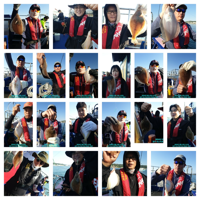 경주선상낚시씨스타호의 조황일지 이미지 - 0