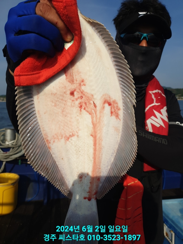 경주선상낚시씨스타호의 조황일지 이미지 - 1