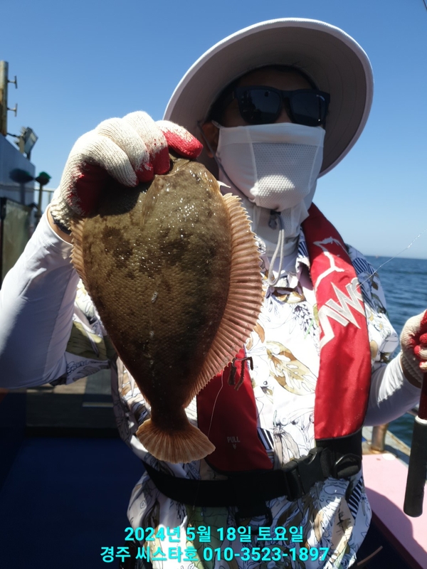 경주선상낚시씨스타호의 조황일지 이미지 - 11