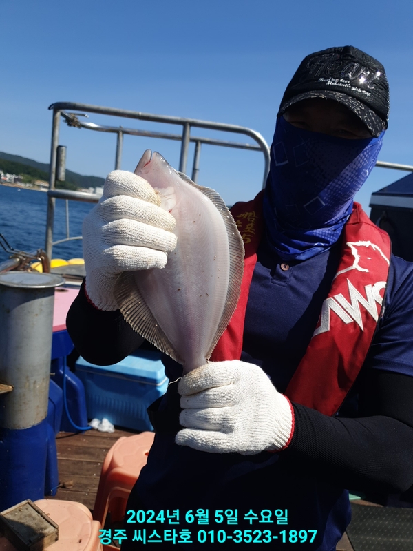 경주선상낚시씨스타호의 조황일지 이미지 - 13