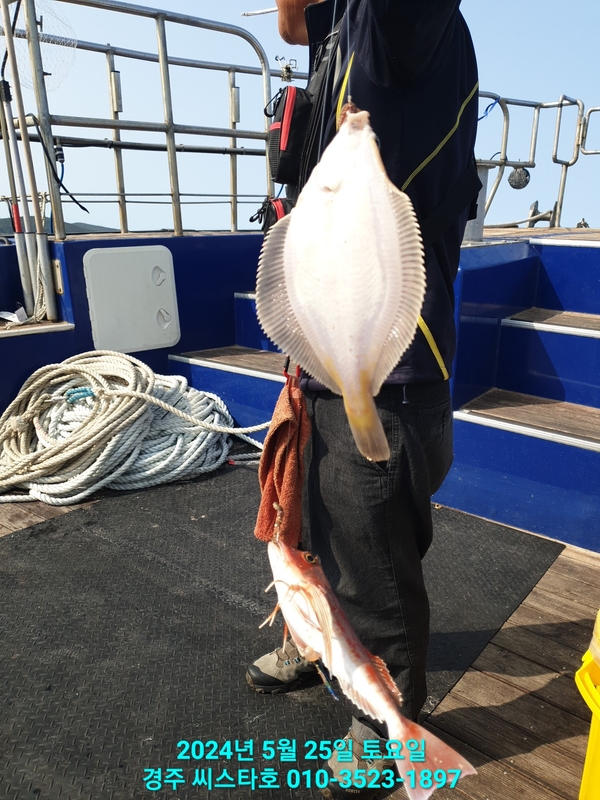 경주선상낚시씨스타호의 조황일지 이미지 - 12