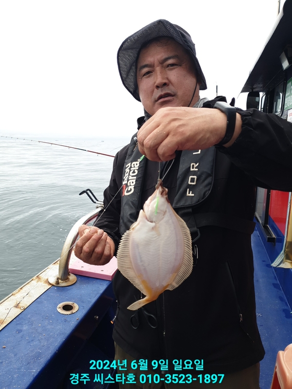 경주선상낚시씨스타호의 조황일지 이미지 - 7