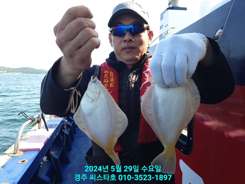 경주선상낚시씨스타호의 조황일지 이미지 - 15