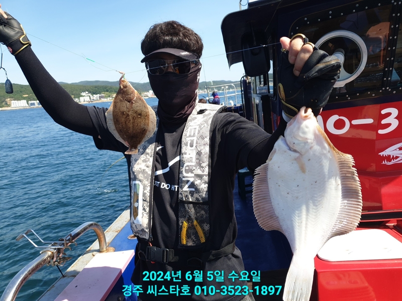 경주선상낚시씨스타호의 조황일지 이미지 - 12