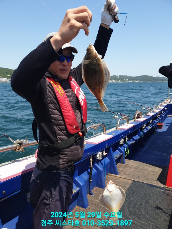 경주선상낚시씨스타호의 조황일지 이미지 - 3