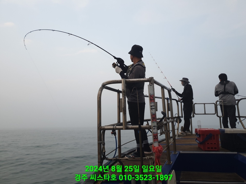 경주선상낚시씨스타호의 조황일지 이미지 - 14