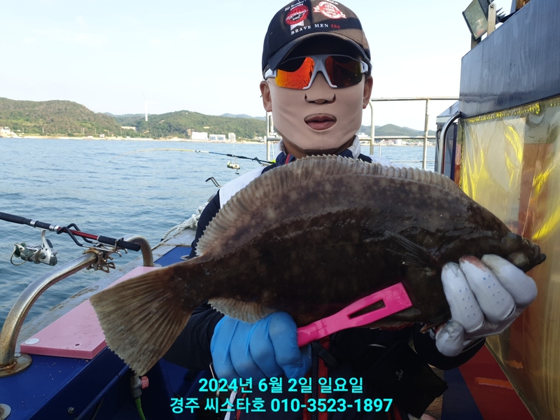 경주선상낚시씨스타호의 조황일지 이미지 - 0