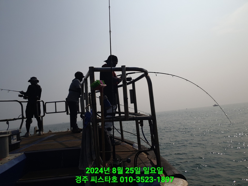 경주선상낚시씨스타호의 조황일지 이미지 - 3