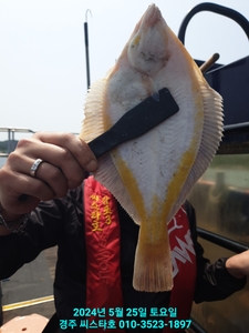 경주 생활낚시 도다리&쏨뱅이 횟감 선상낚시로 잡은 물고기 조황