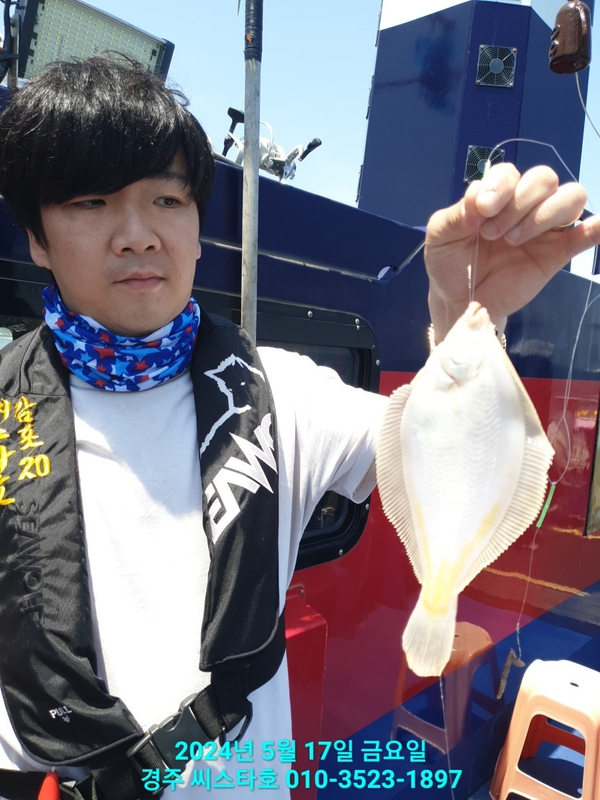 경주선상낚시씨스타호의 조황일지 이미지 - 2