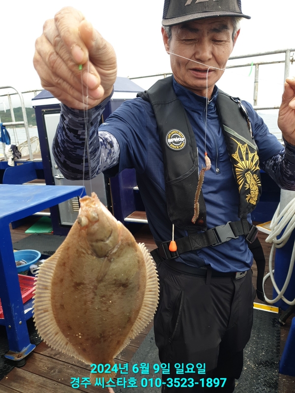 경주선상낚시씨스타호의 조황일지 이미지 - 13