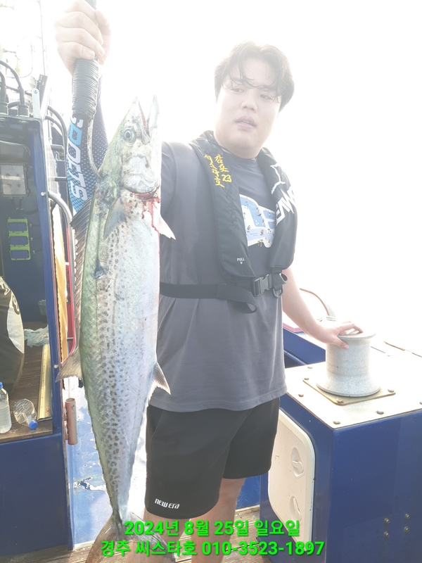 경주선상낚시씨스타호의 조황일지 이미지 - 13