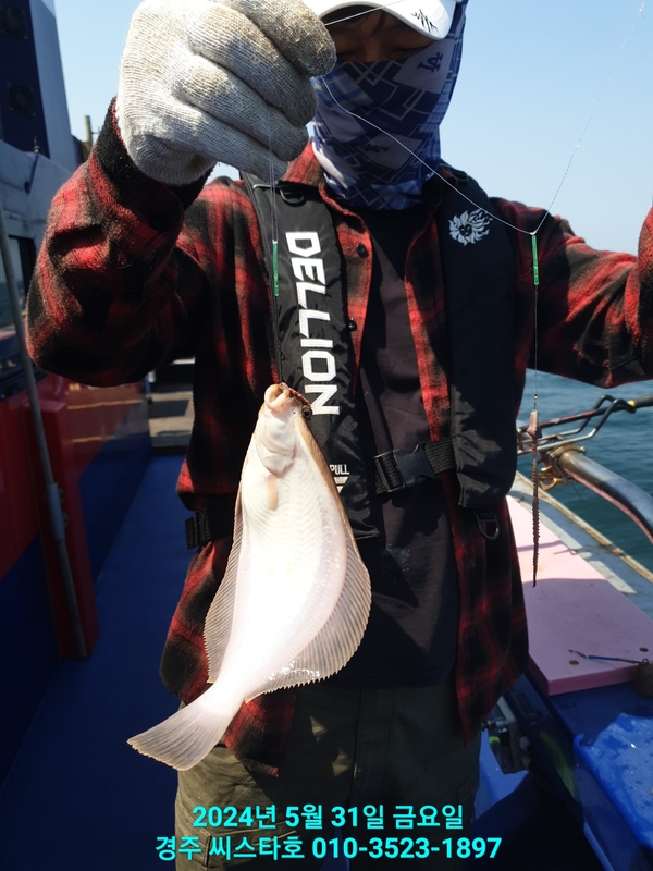 경주선상낚시씨스타호의 조황일지 이미지 - 4