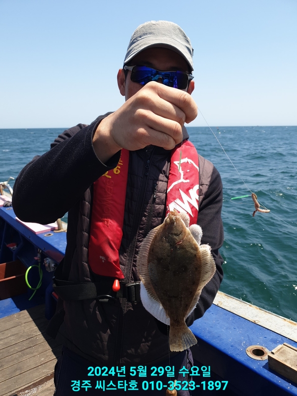 경주선상낚시씨스타호의 조황일지 이미지 - 1