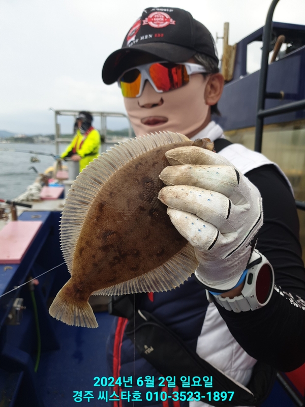 경주선상낚시씨스타호의 조황일지 이미지 - 16