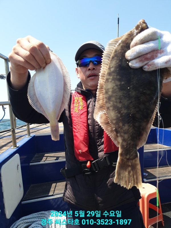 경주선상낚시씨스타호의 조황일지 이미지 - 8