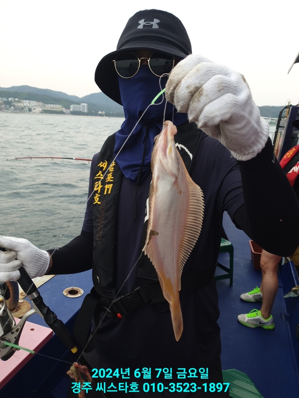 경주선상낚시씨스타호의 조황일지 이미지 - 12