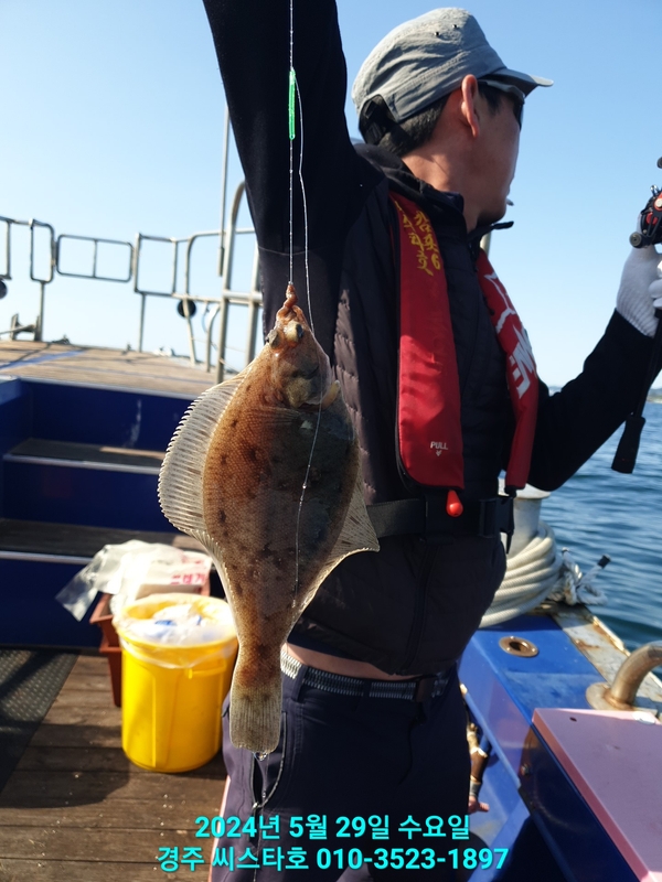 경주선상낚시씨스타호의 조황일지 이미지 - 17