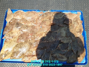 경주 도다리 낚시 조업?대물? 선상낚시로 잡은 물고기 조황