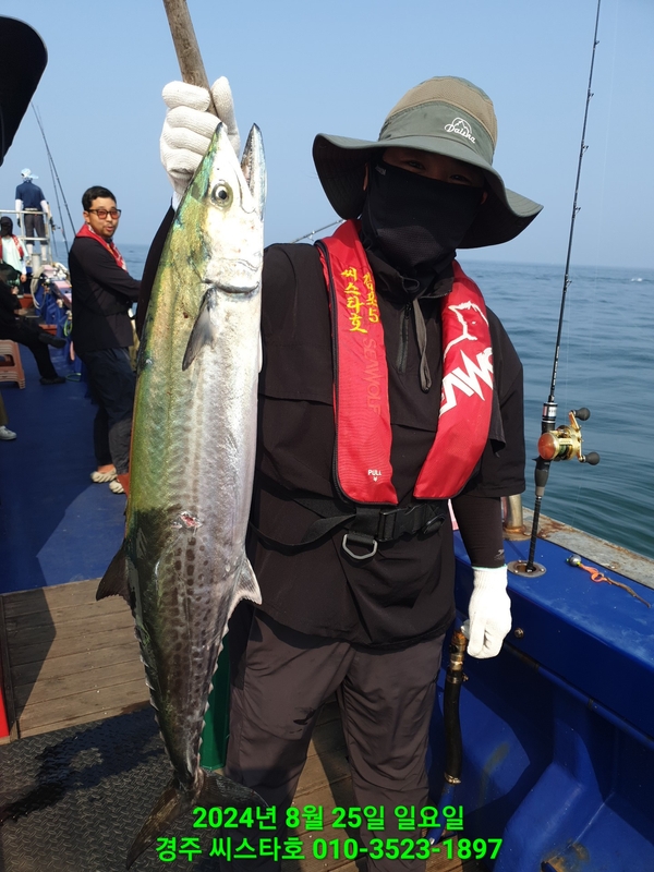 경주선상낚시씨스타호의 조황일지 이미지 - 5