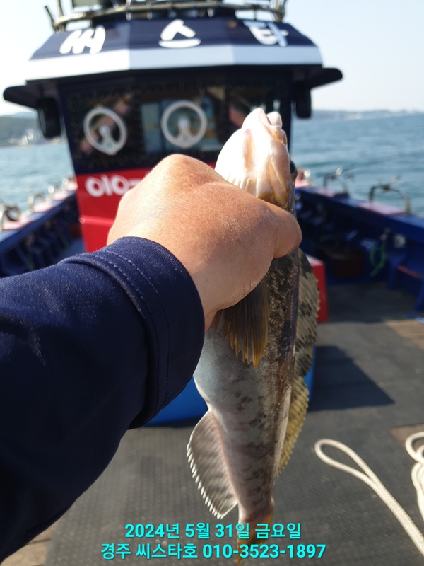 경주선상낚시씨스타호의 조황일지 이미지 - 10