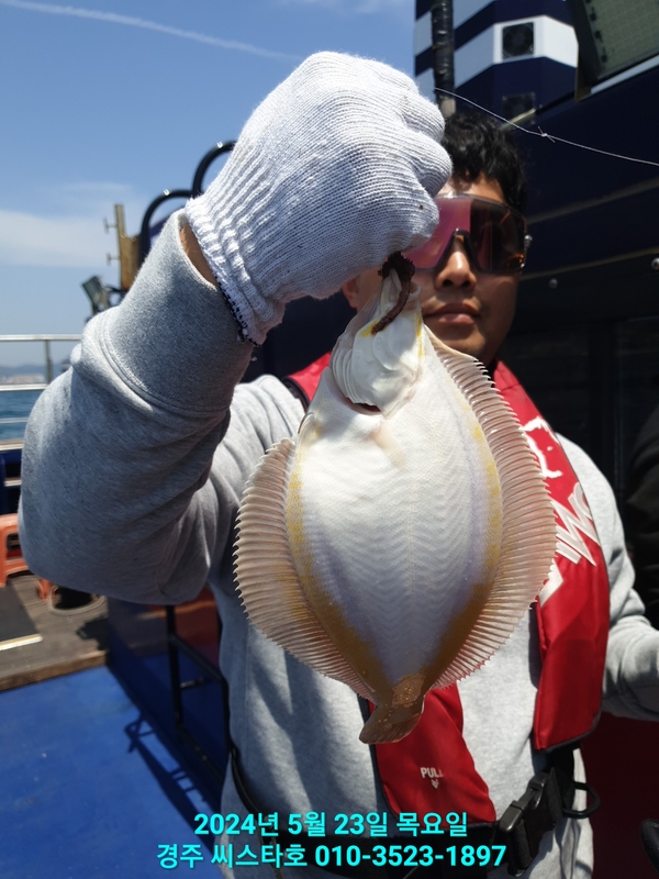 경주선상낚시씨스타호의 조황일지 이미지 - 12