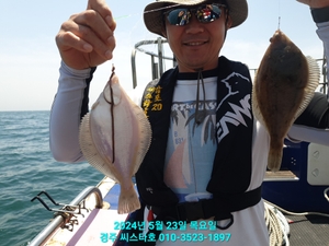 도다리 2 걸이는 기본으로 선상낚시로 잡은 물고기 조황