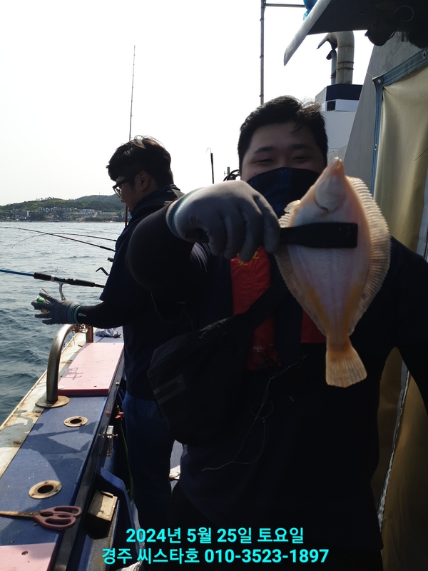 경주선상낚시씨스타호의 조황일지 이미지 - 5