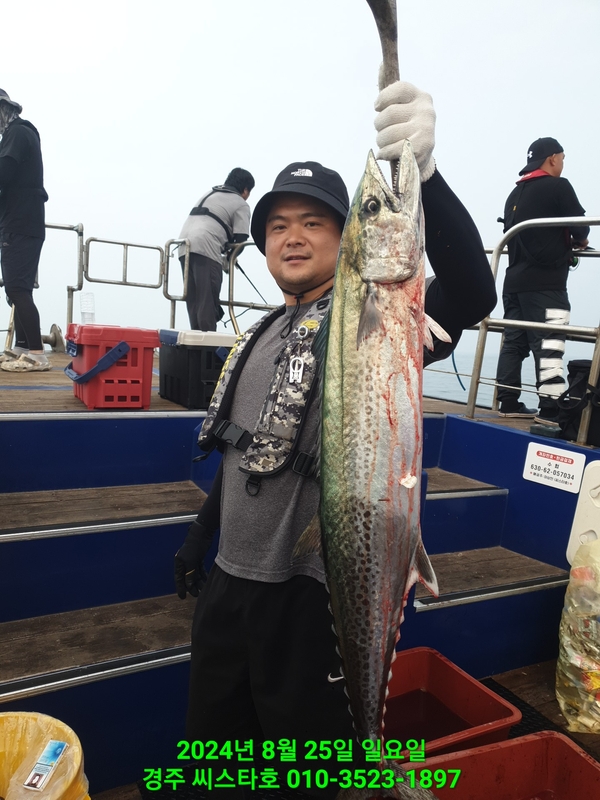 경주선상낚시씨스타호의 조황일지 이미지 - 15