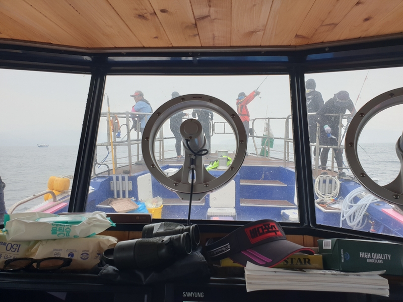 해당 선사를 대표하는 이미지