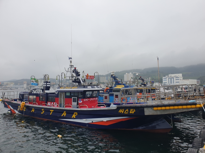 해당 선사를 대표하는 이미지